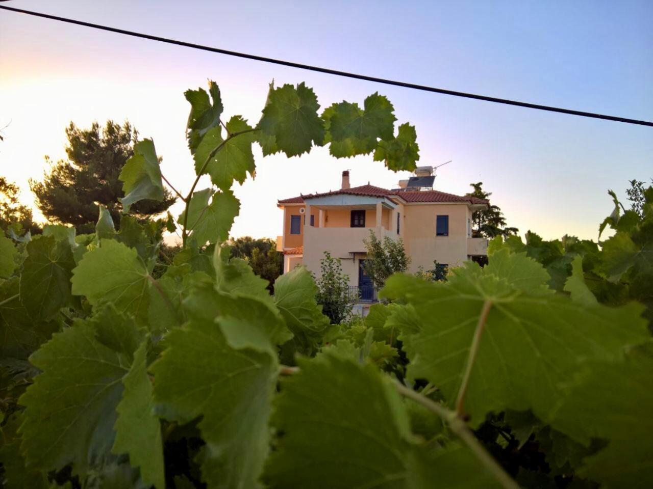 Villa Marita Lisvori Exterior foto